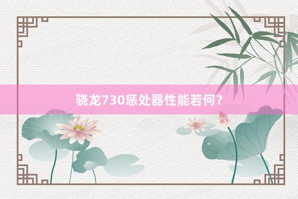 骁龙730惩处器性能若何？